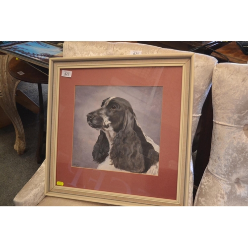 622 - Caroline Cook original portrait of a spaniel.