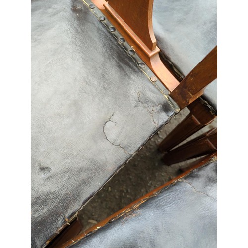628 - Set of 10 hardwood framed, leather seated & horsehair filled dining chairs. 2 on display, remain... 