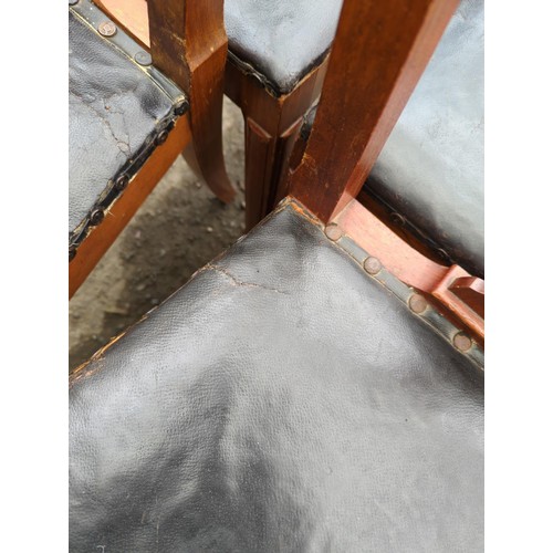 628 - Set of 10 hardwood framed, leather seated & horsehair filled dining chairs. 2 on display, remain... 