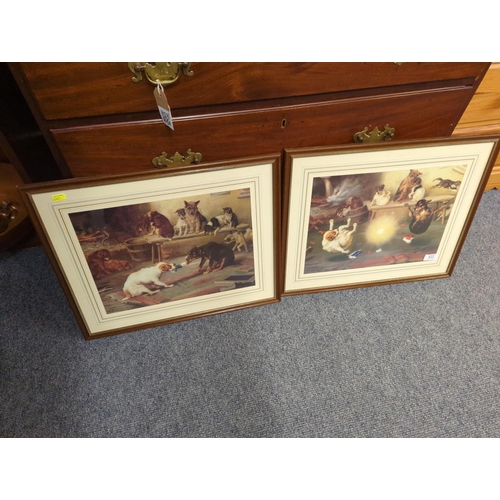 Lot 502       