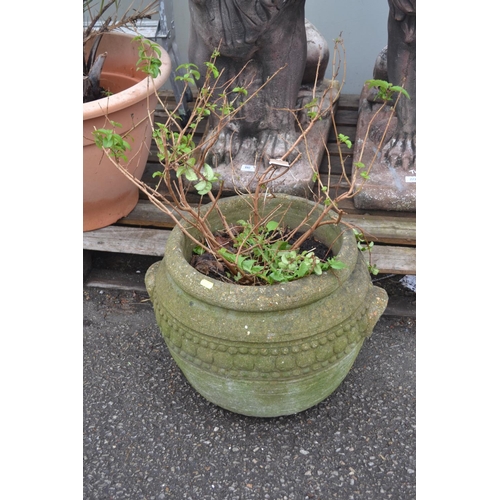 222 - Concrete planter with potted contents (possibly Fucsia)