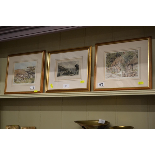 717 - 2 Signed ltd. ed. prints of Dartmoor By Glyn Martin & tinted etching print of Plympton, framed s... 