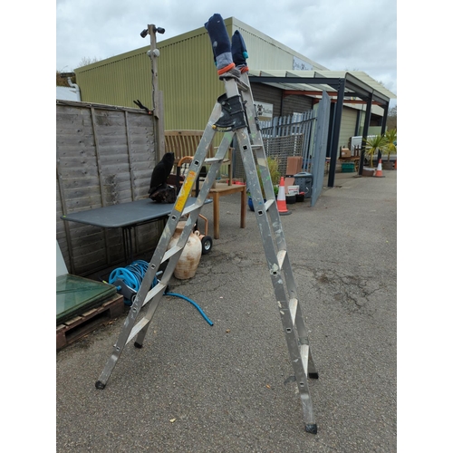 221a - Youngman aluminium 3-way ladder