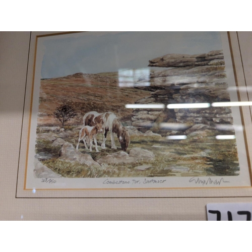 717 - 2 Signed ltd. ed. prints of Dartmoor By Glyn Martin & tinted etching print of Plympton, framed s... 