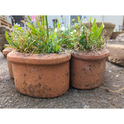 78 - Terracotta sectional planter with central sun detail (sections separate) Planted with hyacinths &... 