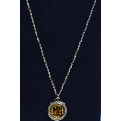 120 - Enamelled Victorian coin pendant & 9ct gold neck chain, pendant mount hallmarked & missing g... 