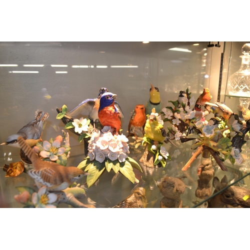 546 - Fifteen ceramic bird figures,  x13 Franklin Porcelain & x2 Goebel