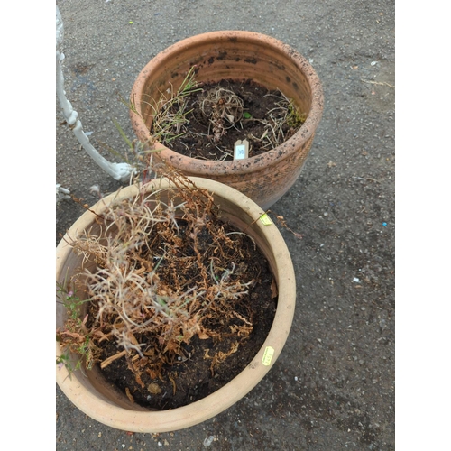 25 - Pair of terracotta pots. H41cm D42cm