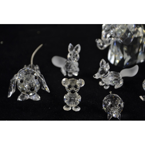 273 - Twelve various Swarovski figures, including two dogs, two foxes, elephant, rhino, two pigs, bear, ra... 