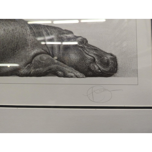 516 - Gary Hodges, signed ltd. 823/850 print titled 'Tropical Slumber' 71cm x 36cm overall dimensions.