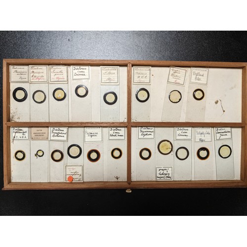 388 - C19th lockable wooden microscope slide case with sunken brass handle, brass fittings and ten drawers... 