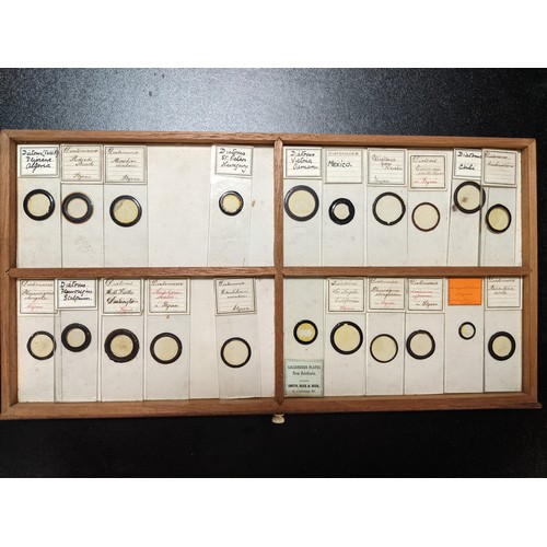 388 - C19th lockable wooden microscope slide case with sunken brass handle, brass fittings and ten drawers... 