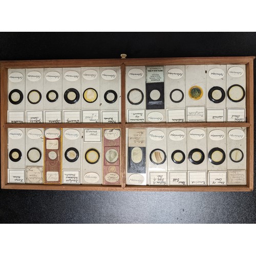 388 - C19th lockable wooden microscope slide case with sunken brass handle, brass fittings and ten drawers... 