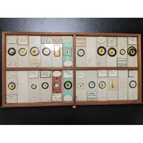 388 - C19th lockable wooden microscope slide case with sunken brass handle, brass fittings and ten drawers... 