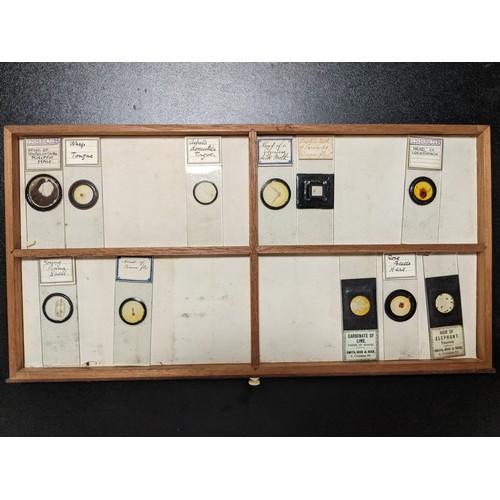 388 - C19th lockable wooden microscope slide case with sunken brass handle, brass fittings and ten drawers... 