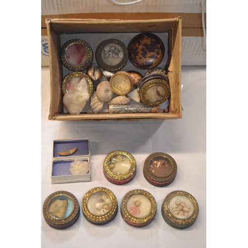 530 - Collection of various samples of shells, gemstones, metals & other specimens, some in boxes