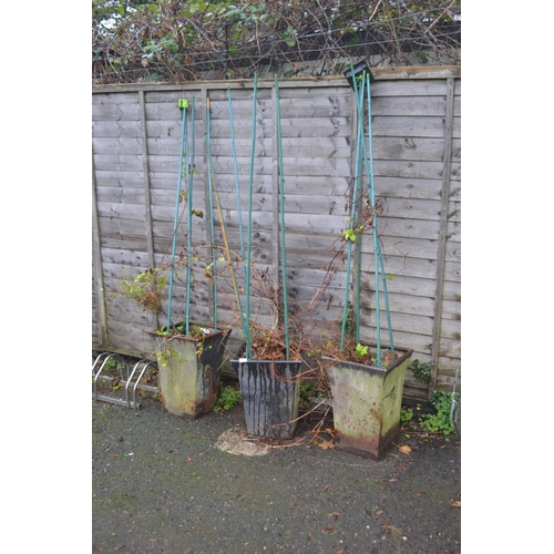 16 - 3 square tapered planters with climber contents