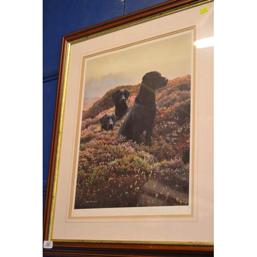 167 - Steven Townsend - Signed ltd. ed 532/650 print of Labradors in heather. 39cm x 51cm