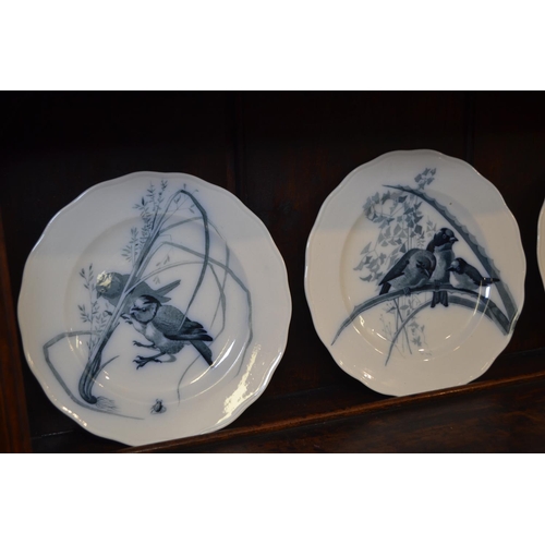 928 - Six Brown, Westhead & Moor Depouse Canova bird plates