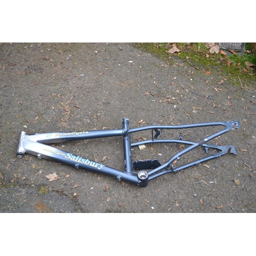 117 - Powercycle Salisbury aluminium e-bike frame