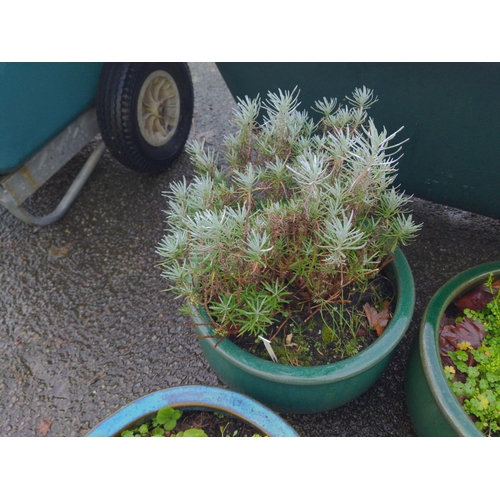 16 - 4x glazed planters. (2 pairs). H27cm D38cm