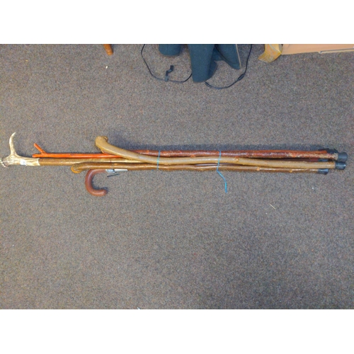 326 - Six walking sticks inc. horn handle and shooting stick