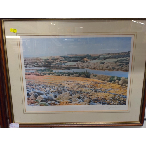 241 - 3 framed prints comprising: Tavistock,  Dartmoor, Below Great Nodden by Arthur Read & signe... 