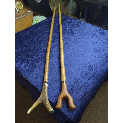 355 - Two walking sticks, one with antler handle, longest 131cm