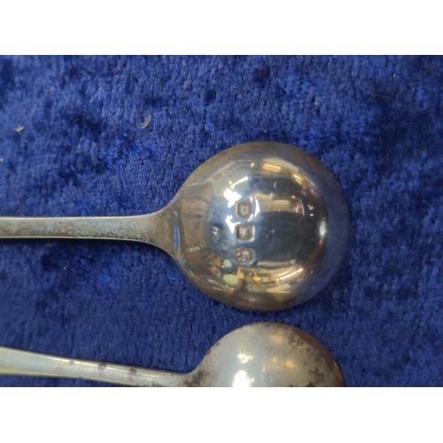 445 - Eight silver salt spoons including two pairs, & a pair of silver mustard spoons, various makers ... 