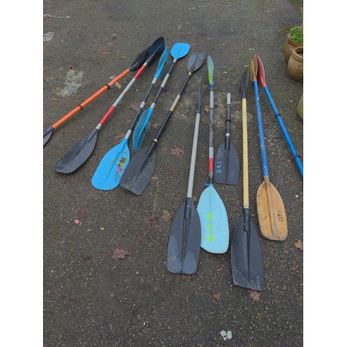 180 - Ten kayak paddles 