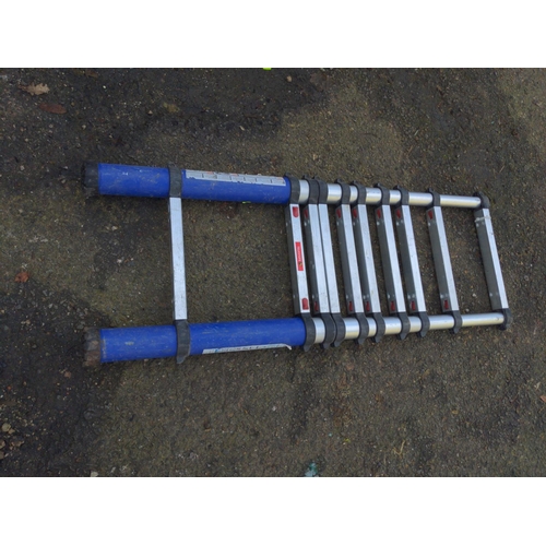 44 - Aluminium telescopic ladder