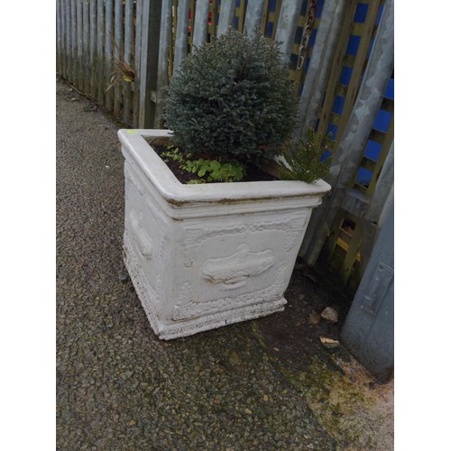 48 - Pair of white painted classically decorated cube planters with evergreen contents. W40cm