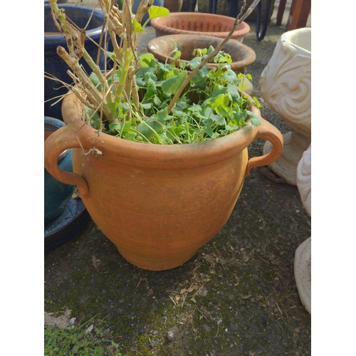 126 - 3x large terracotta pots, 1 with contents. Tallest H35cm