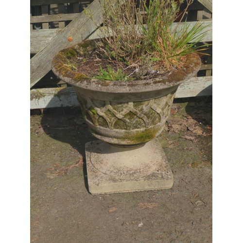 5 - Concrete urn planter. H44cm