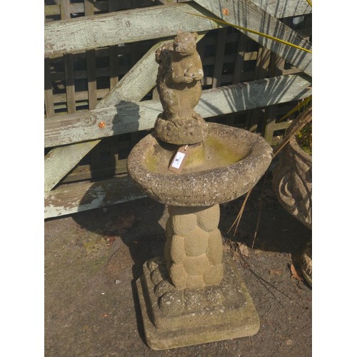 8 - Concrete squirrel bird bath. H79cm