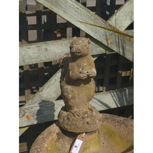 8 - Concrete squirrel bird bath. H79cm