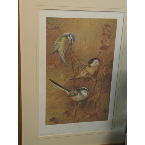 358 - Archibald Thorburn limited edition print 55/850. 'Autumn-Blue, Marsh & Long Tailed Titmice. 48cm... 