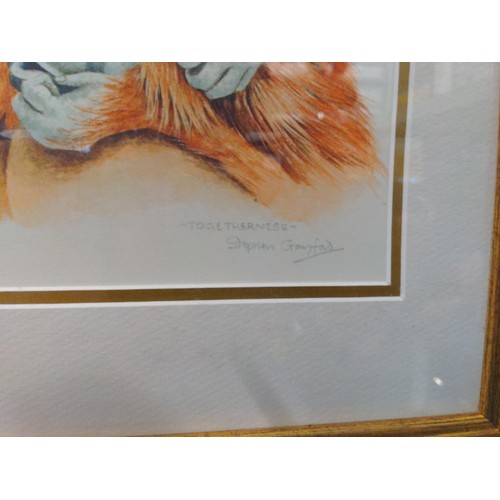 361 - Stephen Grayford Signed Ltd Ed. print of orangutans. 