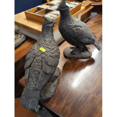 751 - Two faux bronze resin grouse figures, 34cm high.