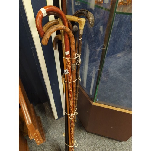 668 - Selection of 9 walking sticks. Inc, Horn handled, one silver collared