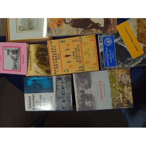 488 - Mostly Dartmoor, Princetown and Tavistock books etc