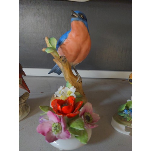 584 - 3 ceramic Birds Inc Royal staffordshire + small Royal Adderley ceramic flowers