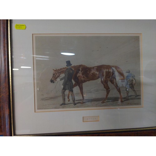 365 - J.F Herring snr. four framed partially hand coloured lithographs of race horses, 43 x 35cm