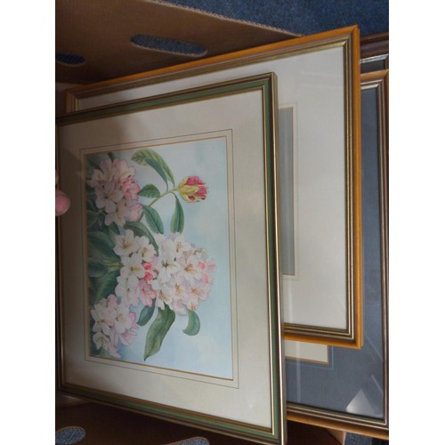 397 - Collection of framed artworks including eight floral illustrations by A.Lomas and a signed limited e... 