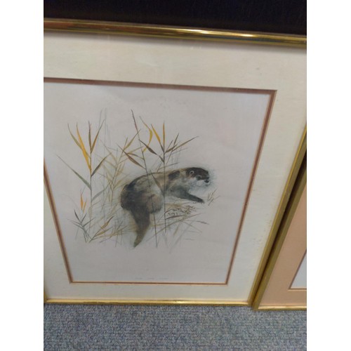 399 - 4 wildlife prints, by Stage