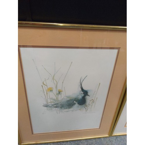 399 - 4 wildlife prints, by Stage