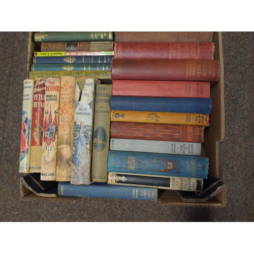 419 - Box full of mostly fictional books. 