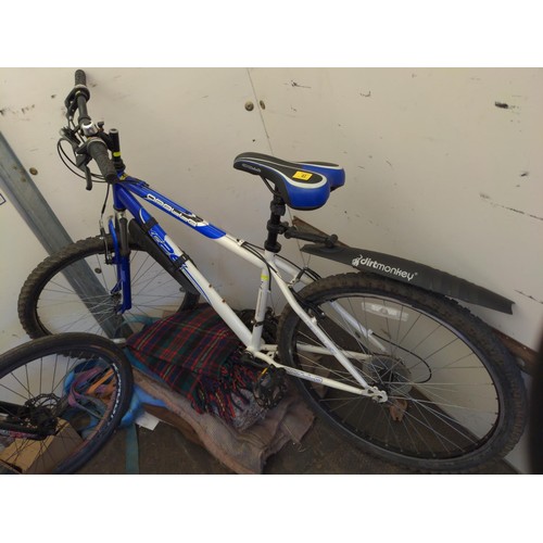 41 - Apollo XC26 front suspension mountain bike. 17