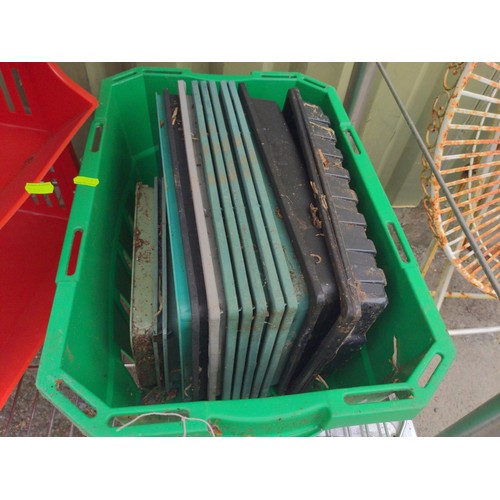 50 - 3 tier plastic vegetable rack with crate of seed trays