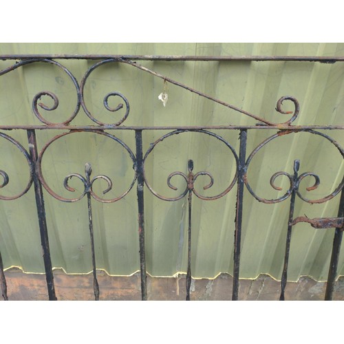 59 - Pair of wrought metal scrolled driveway gates. to fit opening 262cm to centre hinge.